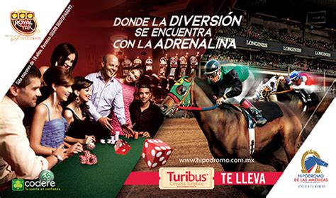 sportsbook hipodromo de las americas|Caballos/Galgos .